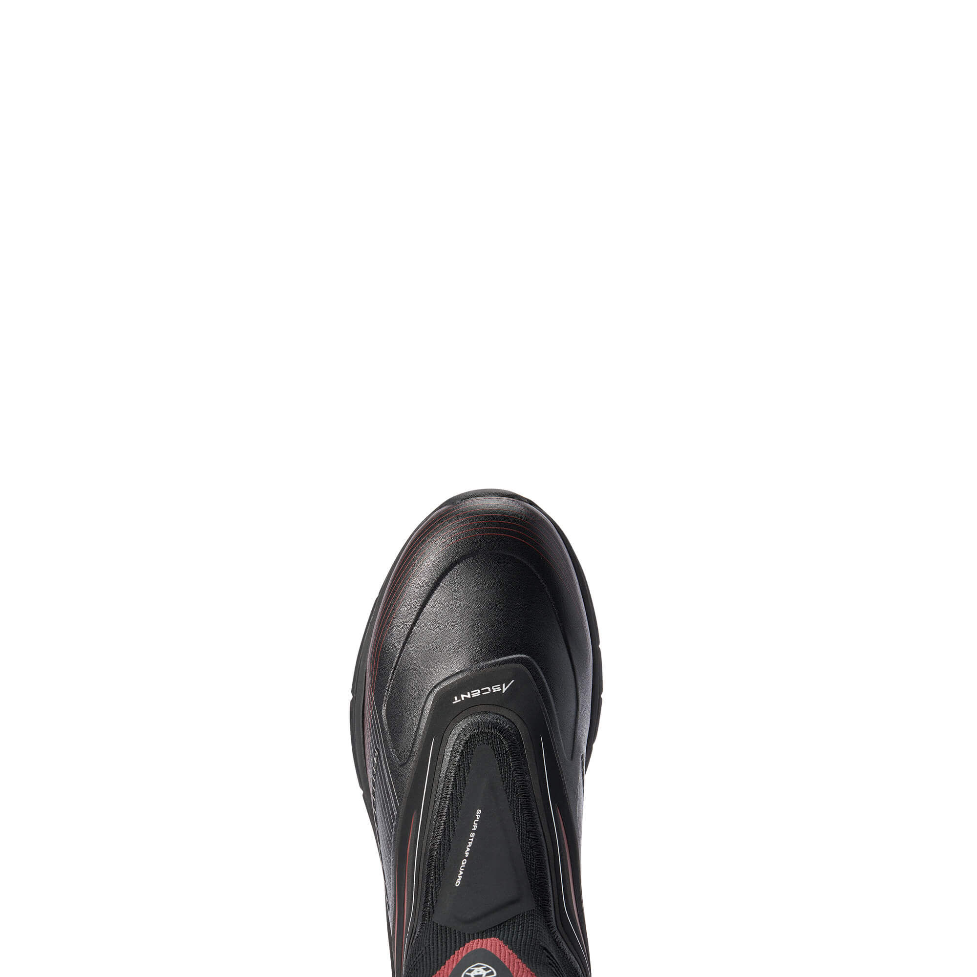 Black Sizes 4.5 to 7 UK Ariat Ascent Women's Paddock Jodhpur Boots 