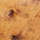 TAN FULL QUILL OSTRICH