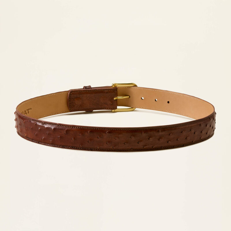 Jeffrey Belt 02