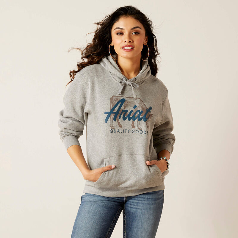 Ariat Women's Real Logo Hoodie, Blue Heather, 1x