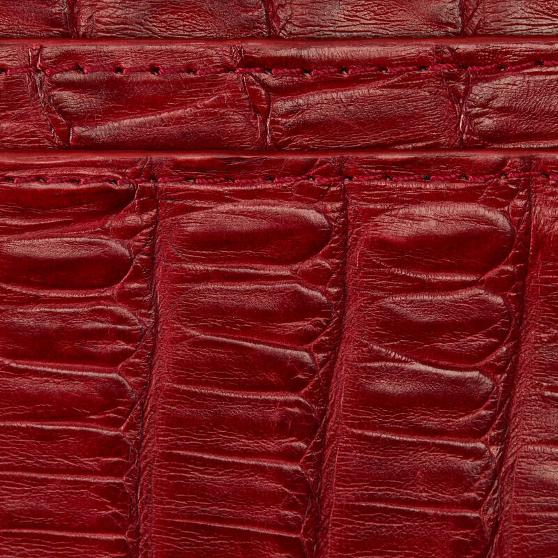 Calamity Card Case 03