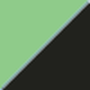 BLACK FLAG GREEN ARIAT