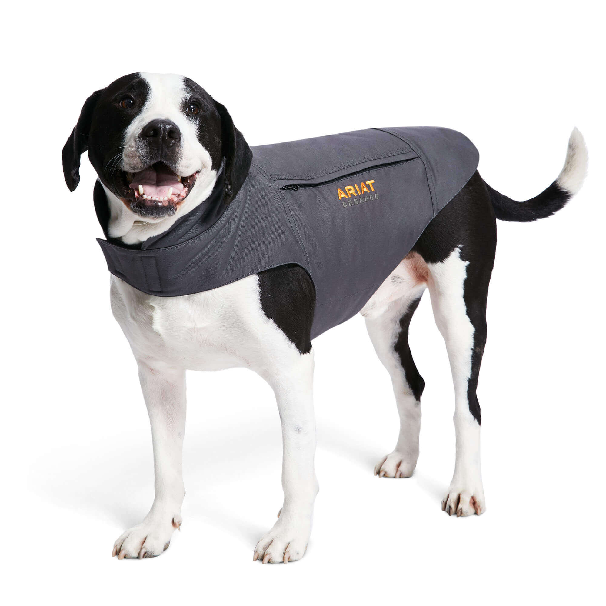 Rebar DuraCanvas Insulated Dog Jacket | Ariat