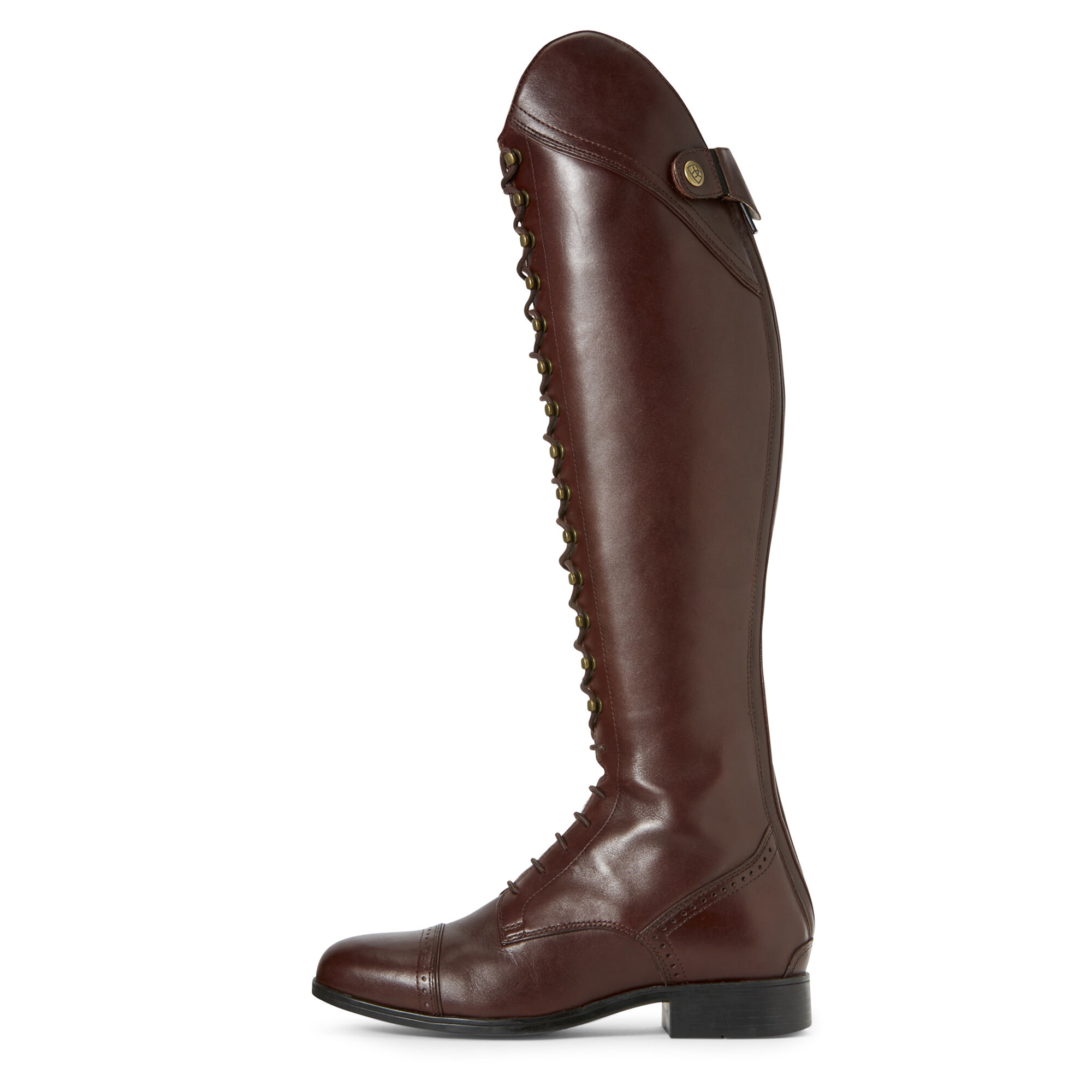 ariat riding boots brown