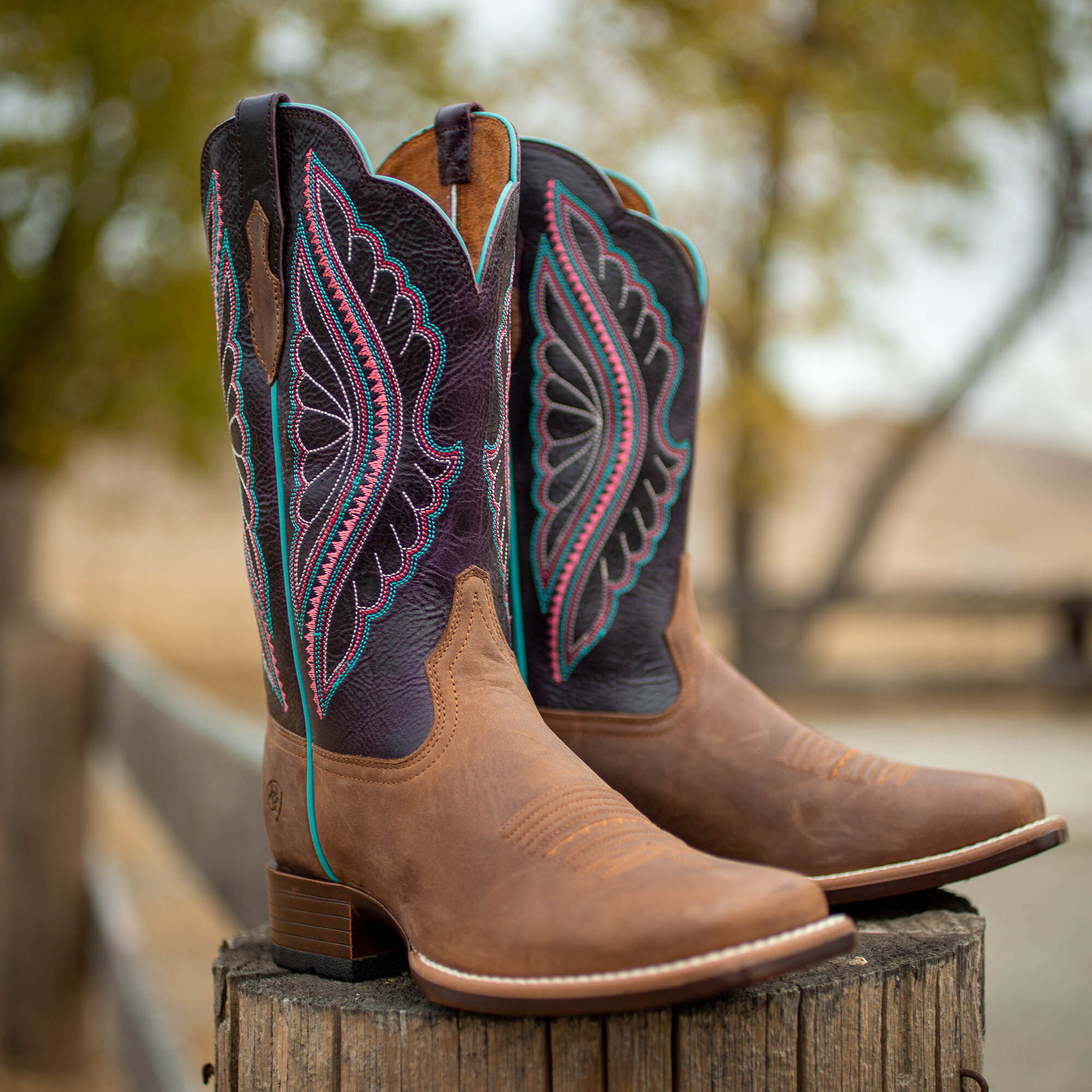 ariat primetime