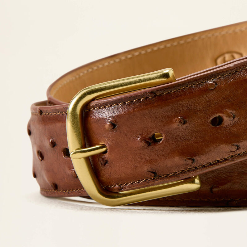 Jeffrey Belt 03