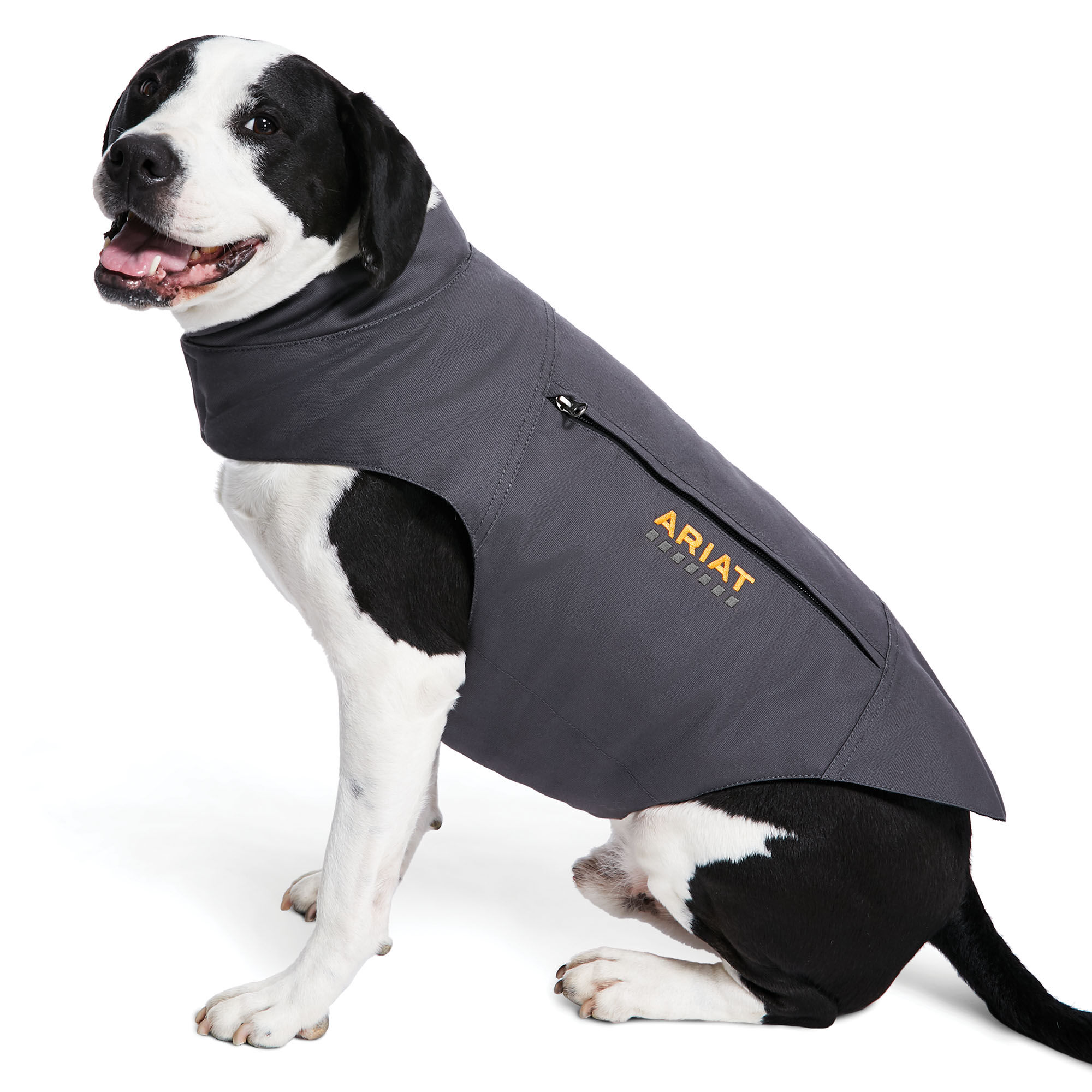 insulated dog jacket