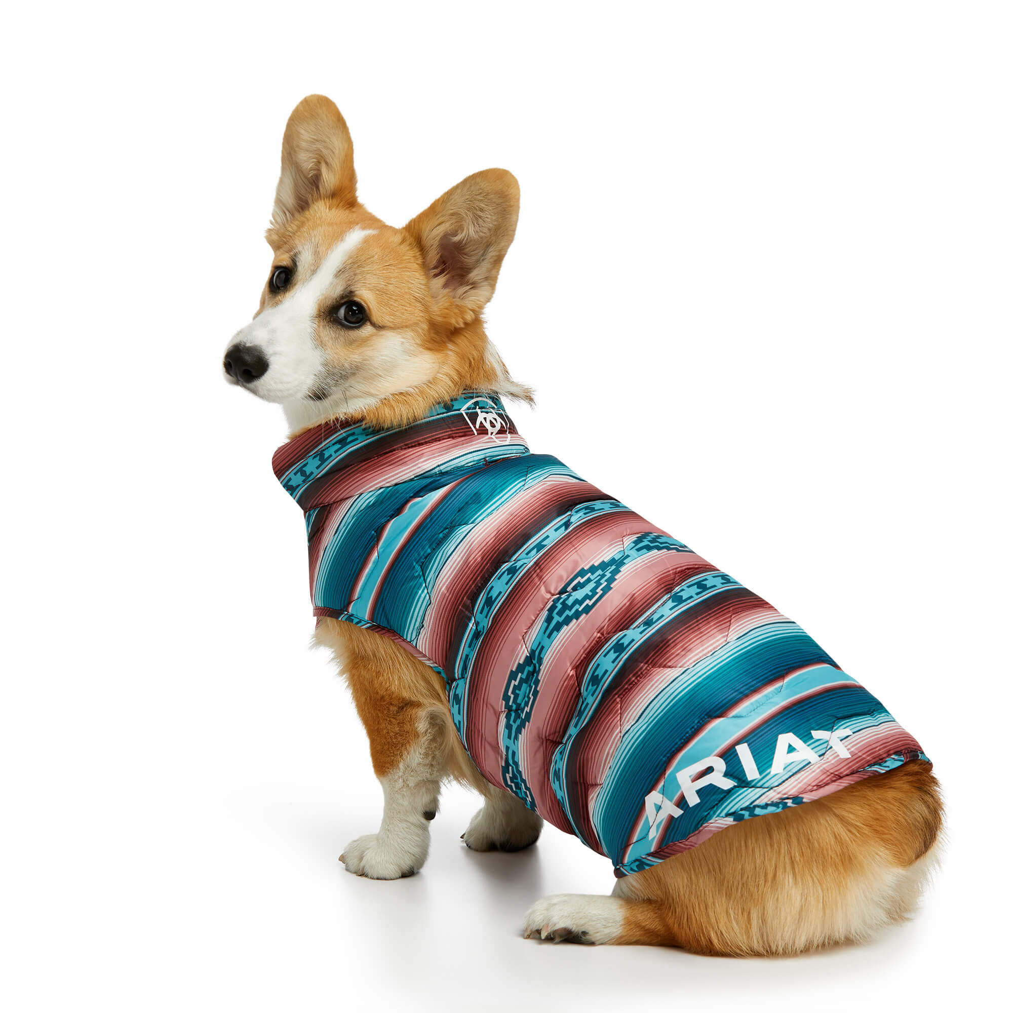Pup Puffer Jacket | Ariat