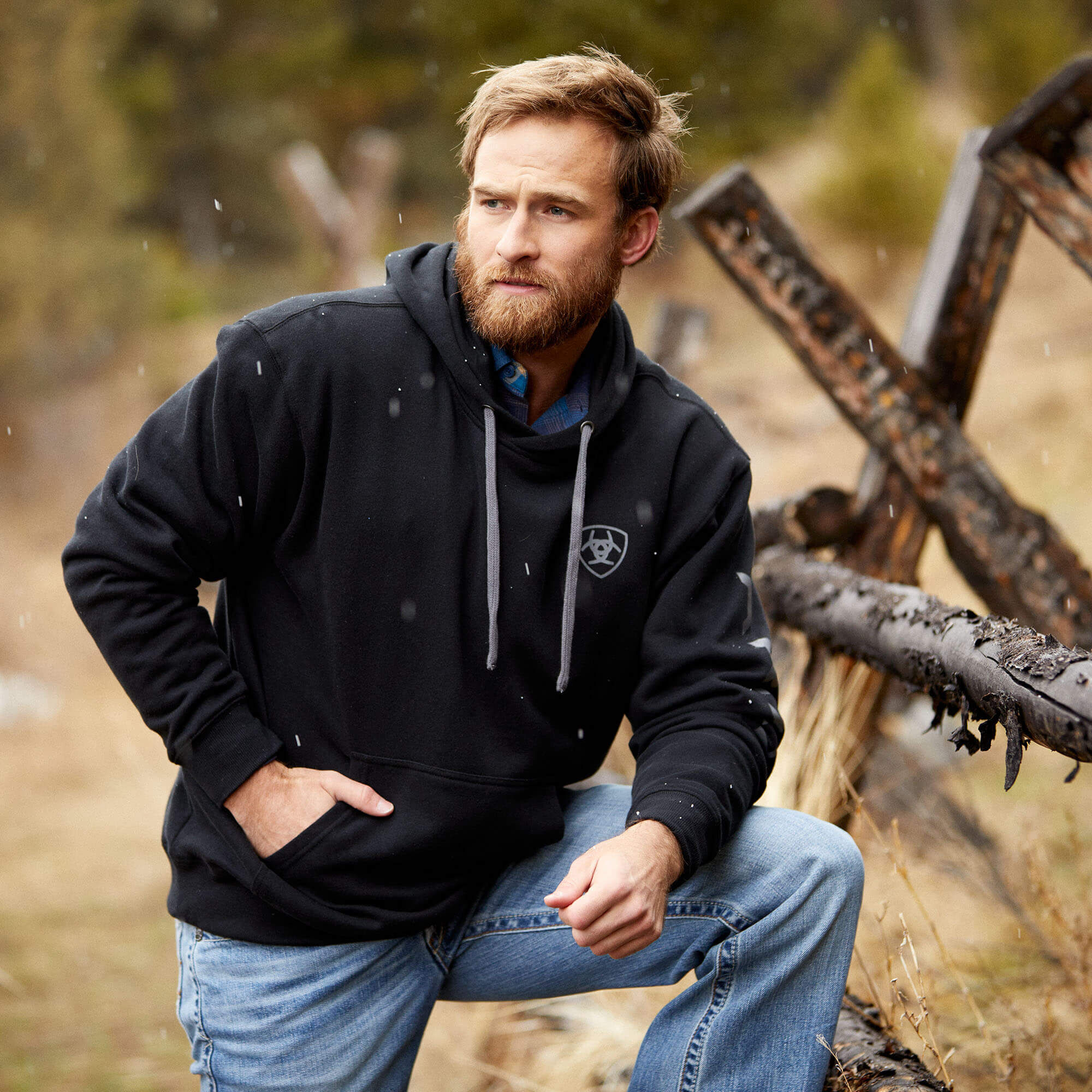 Ariat Logo Hoodie | Ariat Ariat Logo Hoodie | Ariat