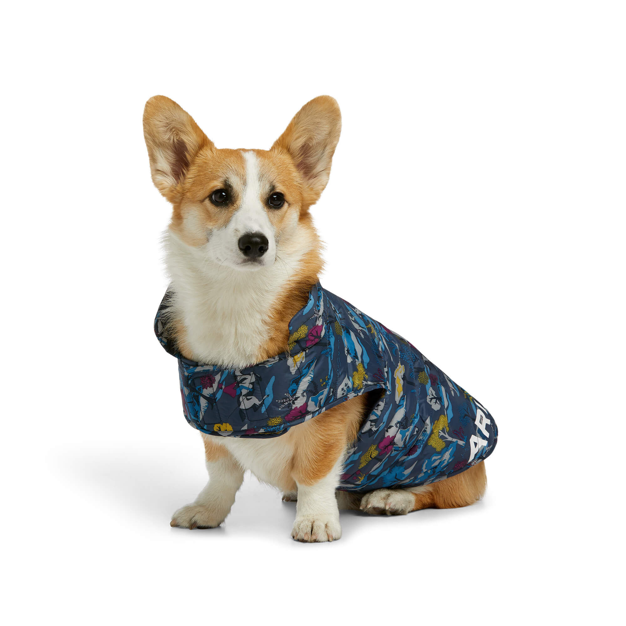 Men's Dog Accessories | Ariat