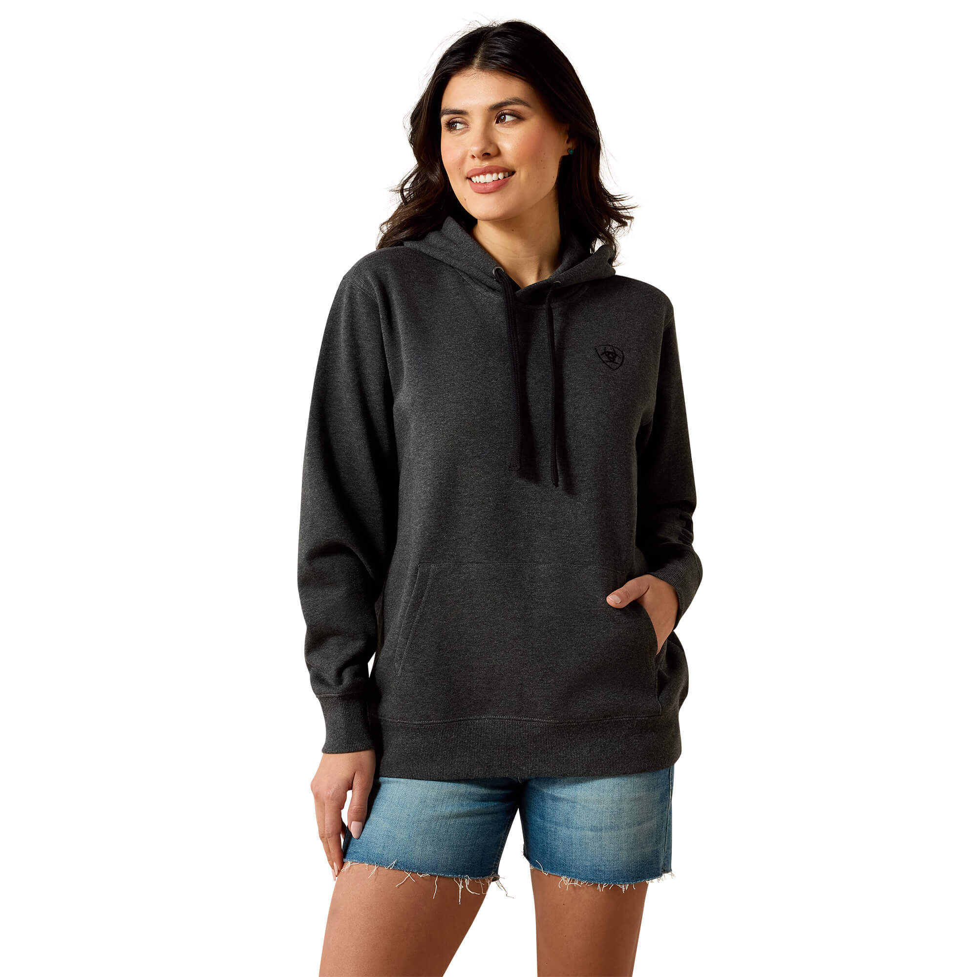 Women's Ariat Logo 2.0 Hoodie Long Sleeve in Charcoal Heather, Size Medium