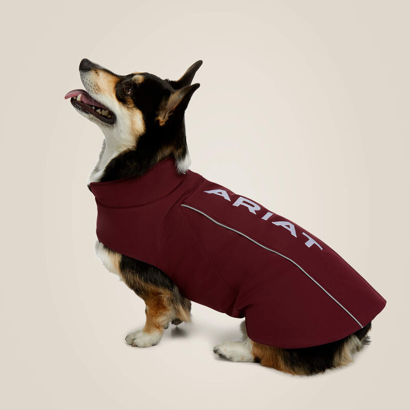 Team Softshell Dog Jacket