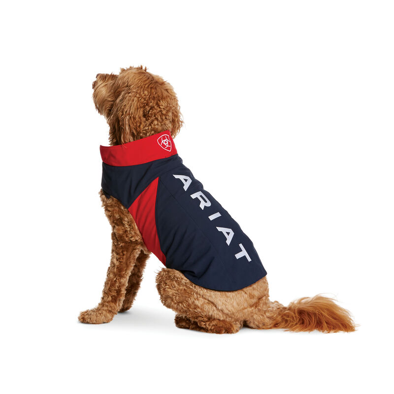 Team Softshell Dog Jacket | Ariat