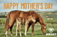 F23-Regular-GC-Mothers-Day